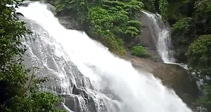 Cheeyappara falls, Munnar