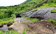 Off-road Jeep Safari