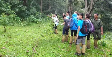 Nature walk in Periyar forest