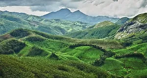 Pothumedu view point