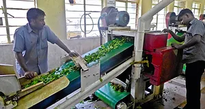 Tata–Munnar-Tea-Museum