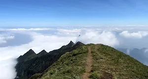 Meesapulimala in Munnar