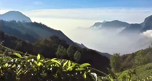 Top station Munnar