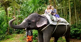 kerala elephant ride in Thekkady
