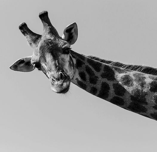 Ready to discover what else we have in store? Explore our range of promotional items and unleash the potential of your brand