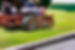 process-of-lawn-mowing-lawnmower-cutting