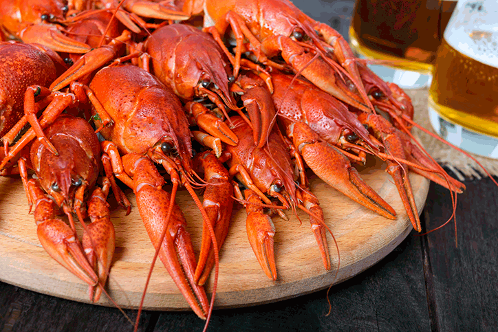 TotalFood-Lobster.gif