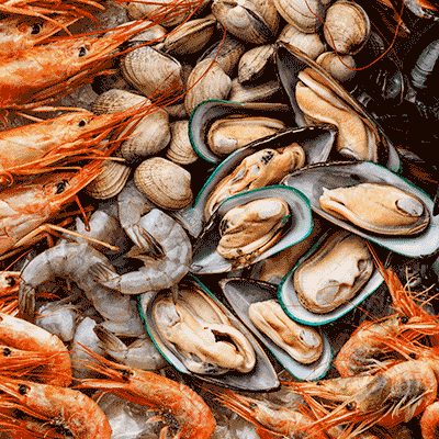 FoodPairings-Shellfish.gif