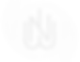 Norht Wind Wines Favicon