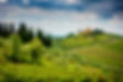 iStock-1244584599(1).jpg