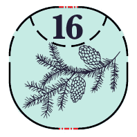 Wine Advent Calendar | Flying Blue Imports