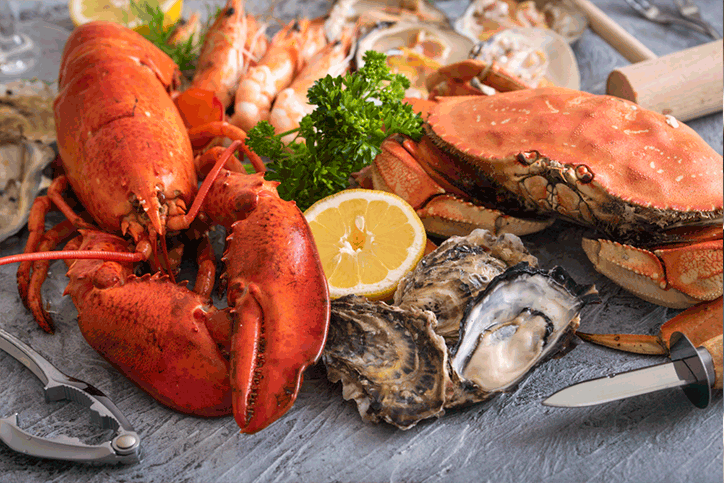 Shellfish.gif