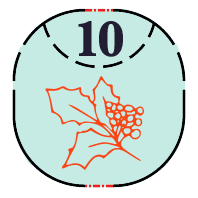 Wine Advent Calendar | Flying Blue Imports