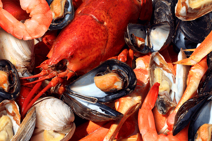 Shellfish2.gif