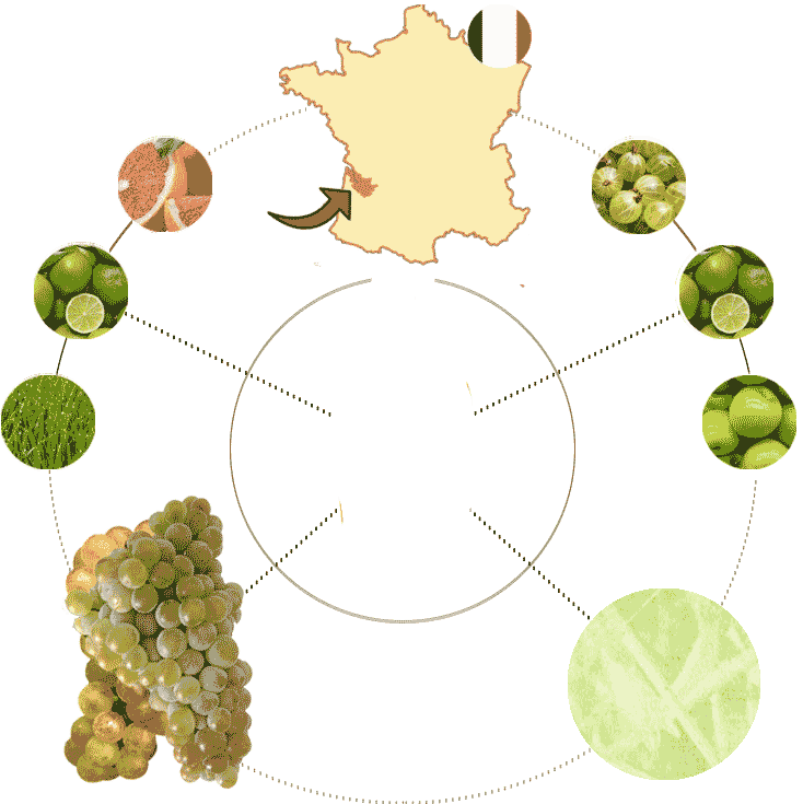 Map-MaisonSAVAS.gif
