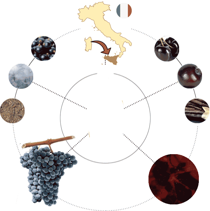 Map-PolloPazzo.gif