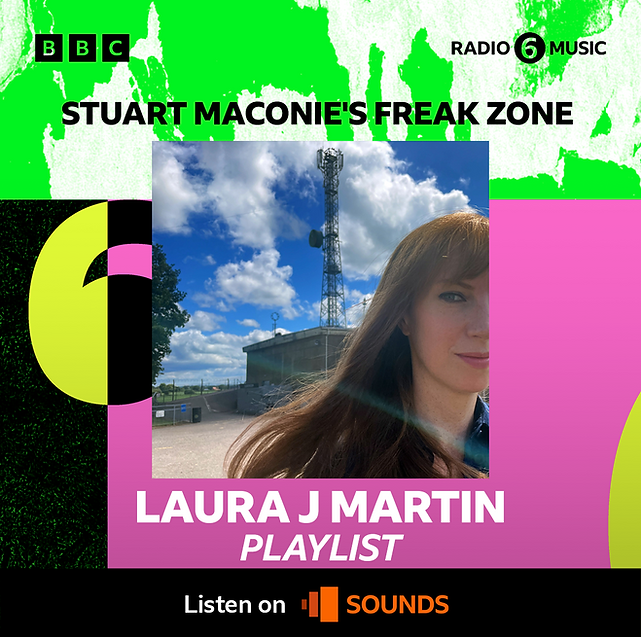 1x1 - Laura J Martin (1).png