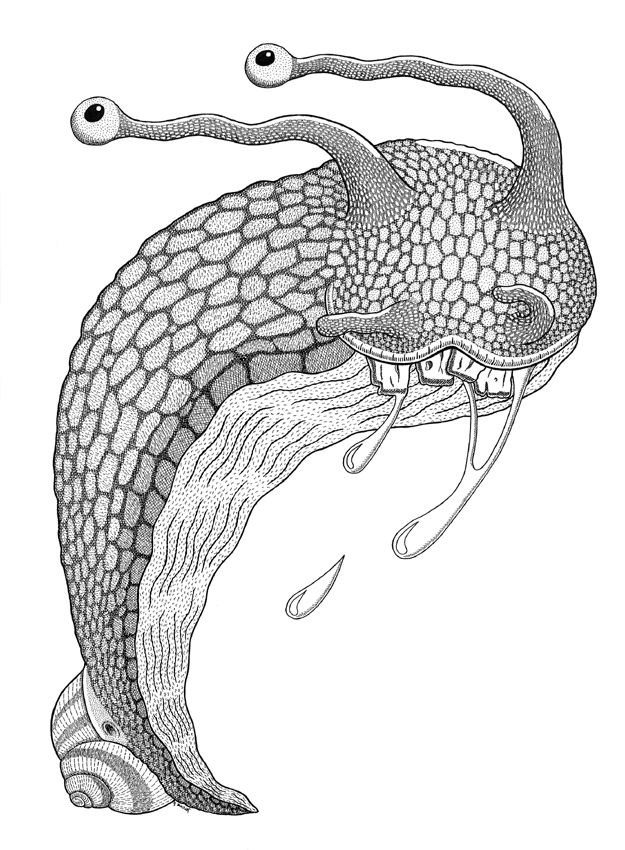 A Fresh Gastropod