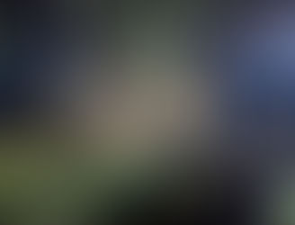 Einsatz: Verkehrsunfall Sandbühler Hof