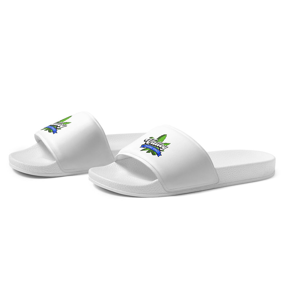 Thumbnail: VFO Men’s slides