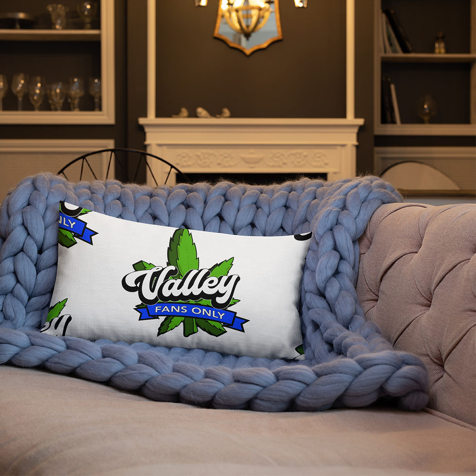 Thumbnail: Valley Fans Only pillows 