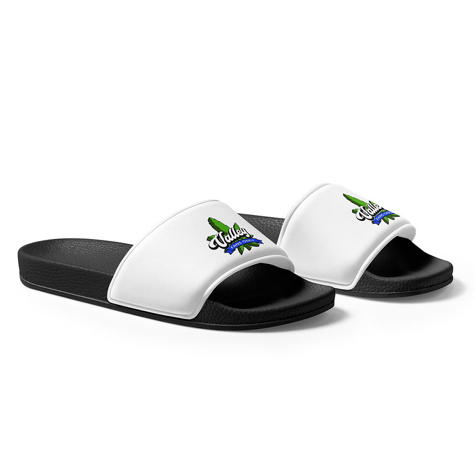 Thumbnail: VFO Men’s slides