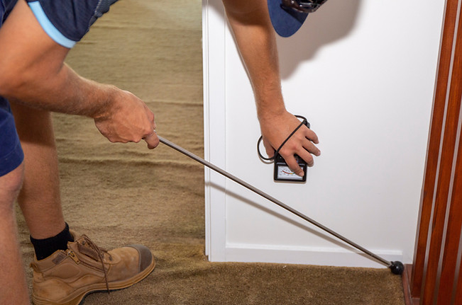 Termite inspection
