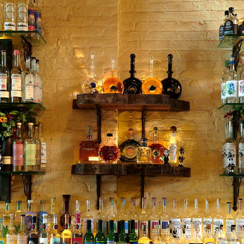 tequila bottles on shelf