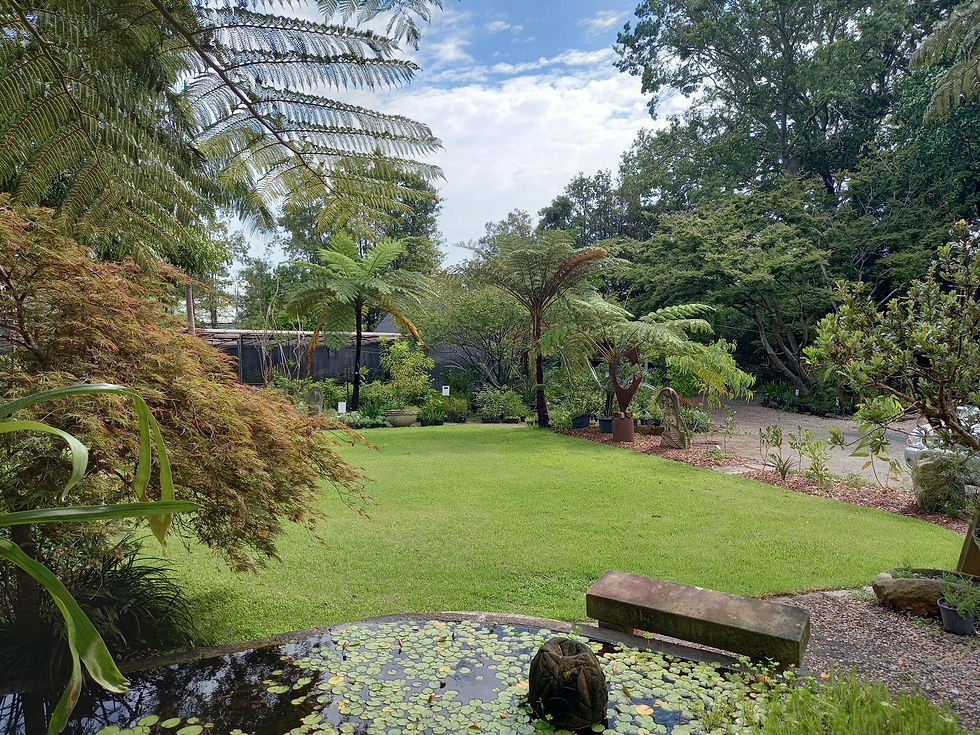 Cicada Glen Nursery Ingleside Northern Beaches