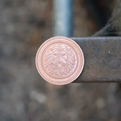 Coin of Strength v2