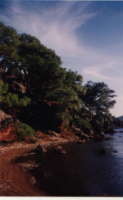 Photo0039
