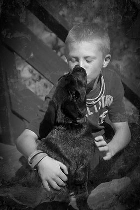 Lab/Healer Dog loving on his buddy