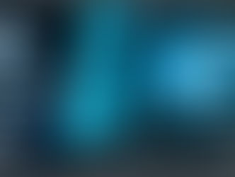 WEBINAR - INTEGRIDADE DE DADOS - Informações Básicas para Requerimentos