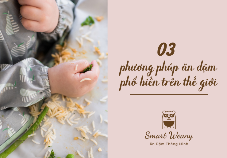 những-phương-pháp-ăn-dặm-phổ-biến-nhất-trên-thế-giới