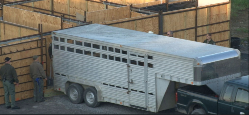 Truck with trailer .jpg