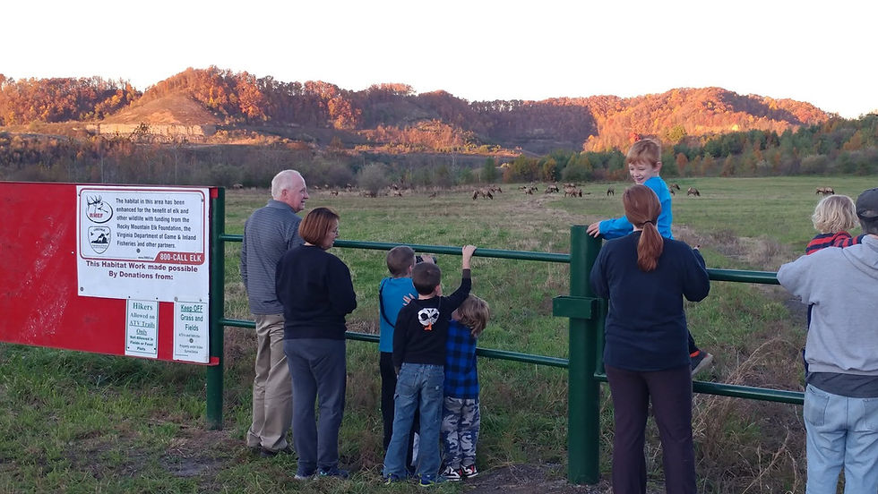 elk viewing 2.jpg