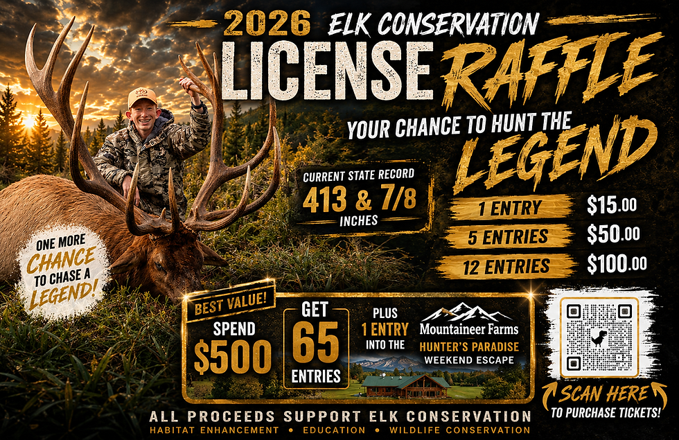 Front of License Flyer.png