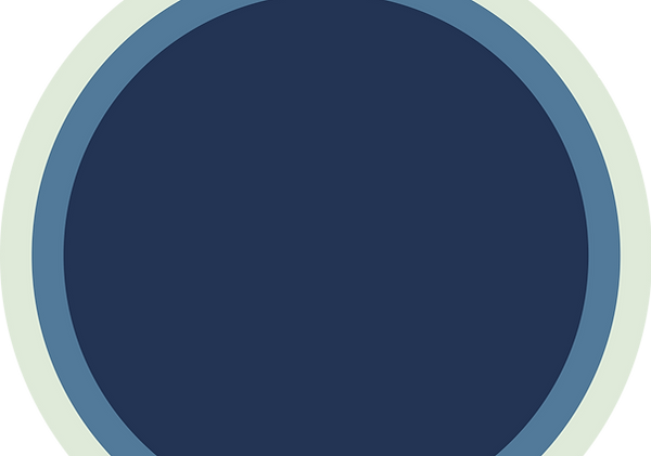 WashCo_Circle Element-2.png