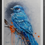Thumbnail: Blue Bird