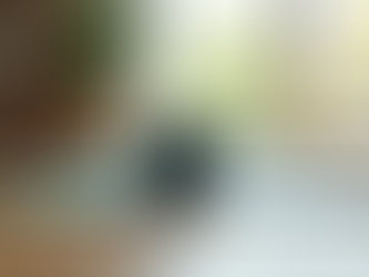 Creating Your Custom Fitness Plan