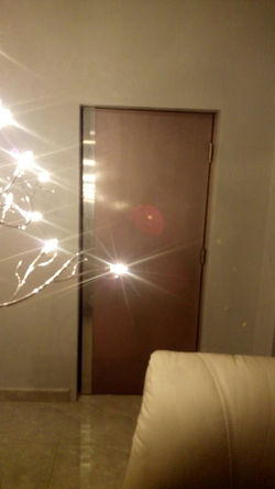 Puerta detalle en aluminio