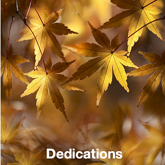 Screenshot 2026-04-22 at 4.57.31 PM.png