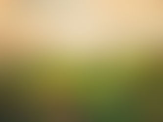 Linda Likes Being Down an Octave