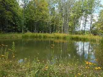 Amanda's Garden Pond