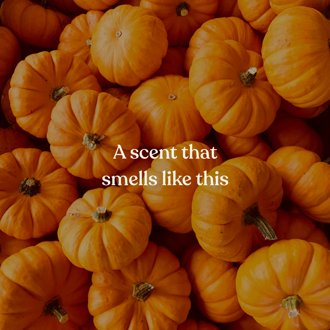 a49cd00b70503e16d2875bfb62300b2ac4c478df.gif