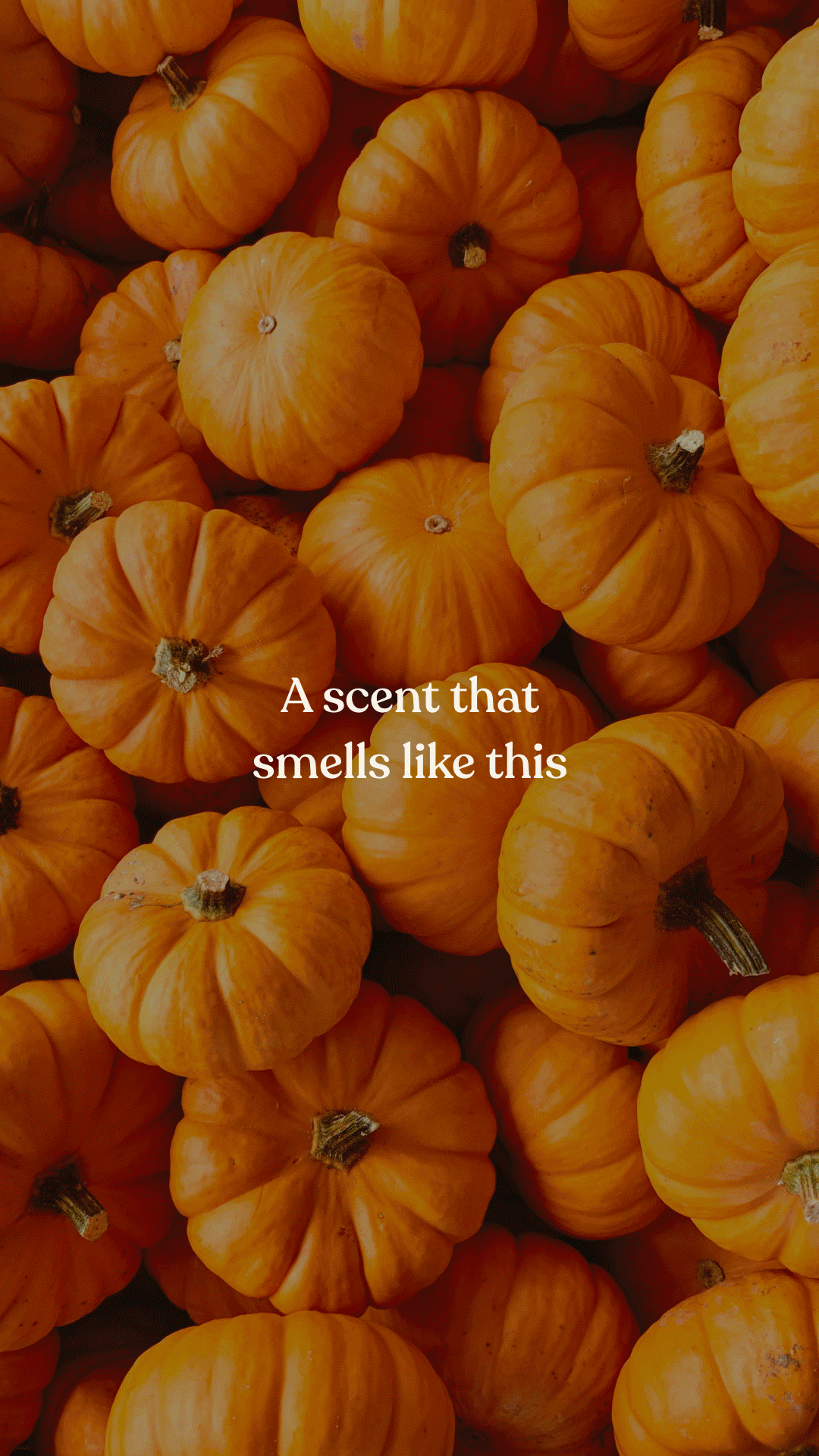 90639f370306f84cdc98dff8d6bae83bd4d1291c.gif