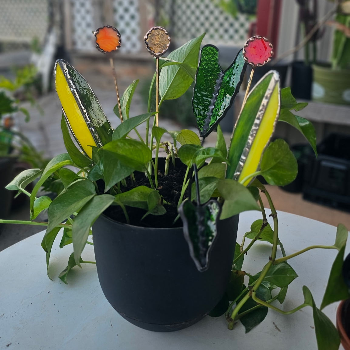 PLANT STAKES