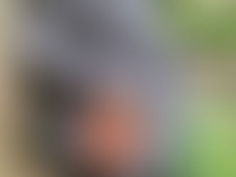 Coming out of Hibernation... just in time for winter!