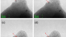 In situ TEM for confinement impact of nanocatalysts