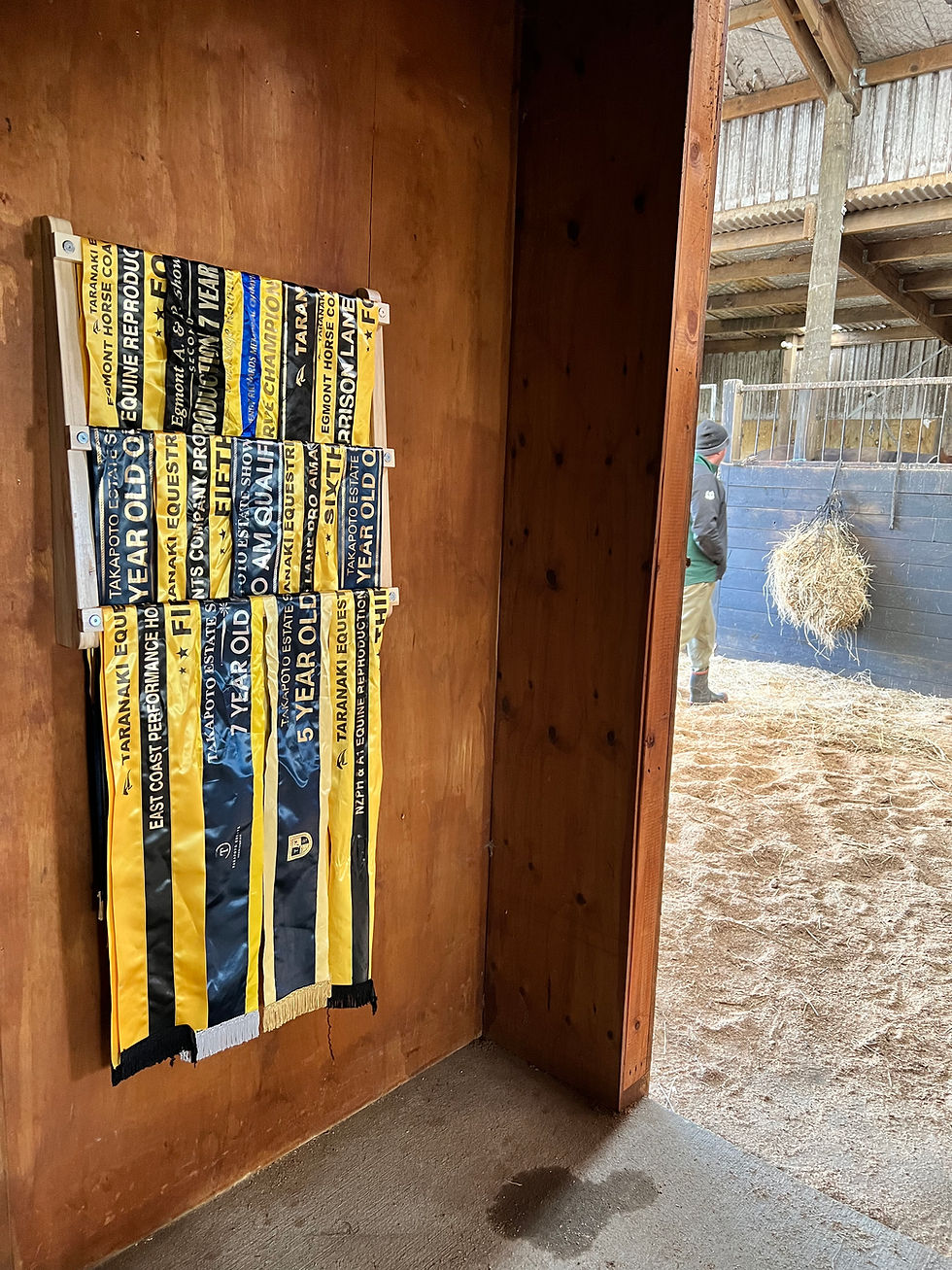 Thumbnail: Small ribbon display